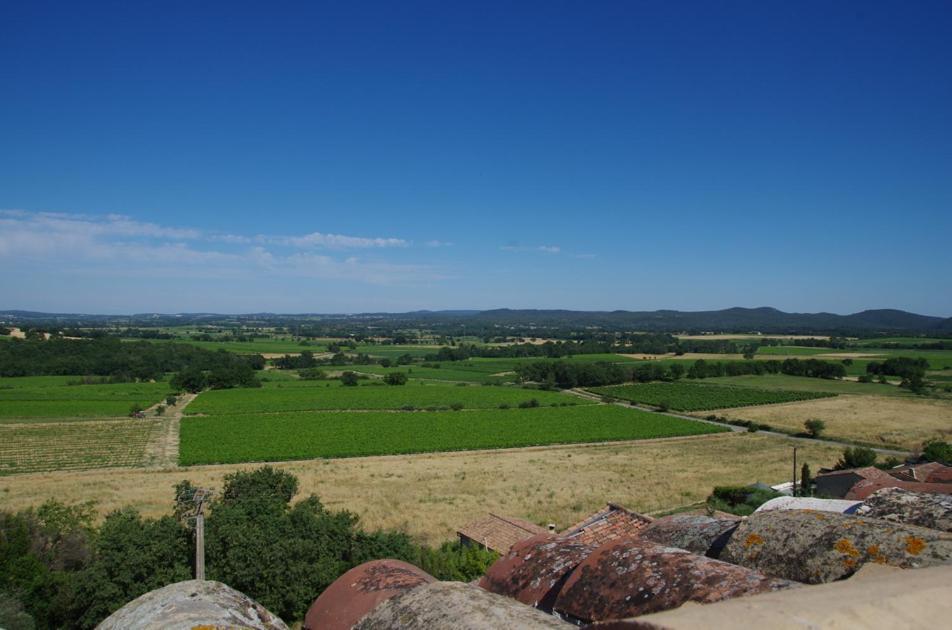 Gites La Tour Le Mas De Crieulon Saint-Jean-de-Crieulon エクステリア 写真